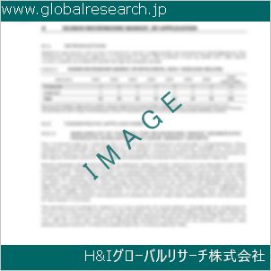 グローバルリサーチ調査資料のイメージ